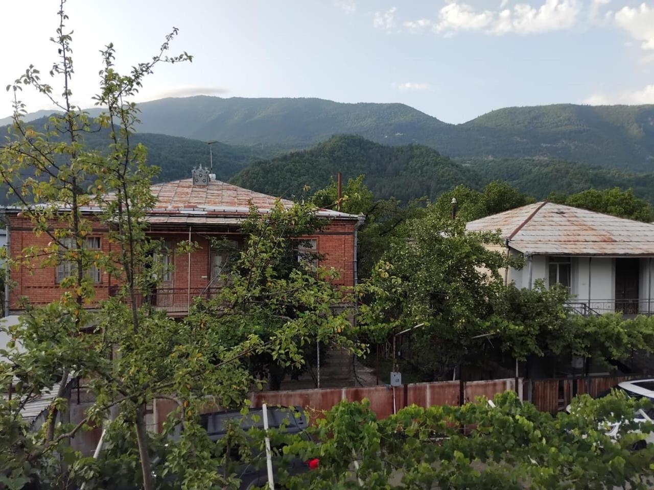 Ambrosador Guest House Ambrolauri Ngoại thất bức ảnh