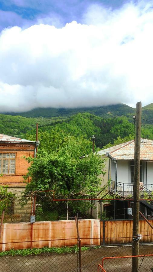 Ambrosador Guest House Ambrolauri Ngoại thất bức ảnh