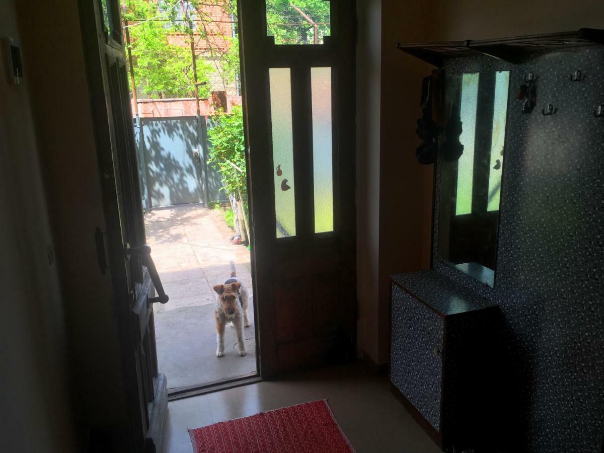 Ambrosador Guest House Ambrolauri Ngoại thất bức ảnh